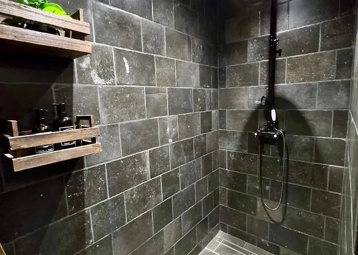 别墅 U Loghju 奥莱塔